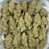 GGP PHENO