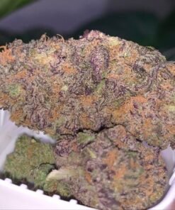 GRANDDADDY PURPLE
