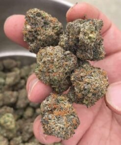 medical cannabis